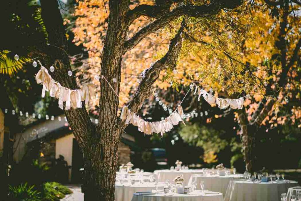 Outdoor party decorations